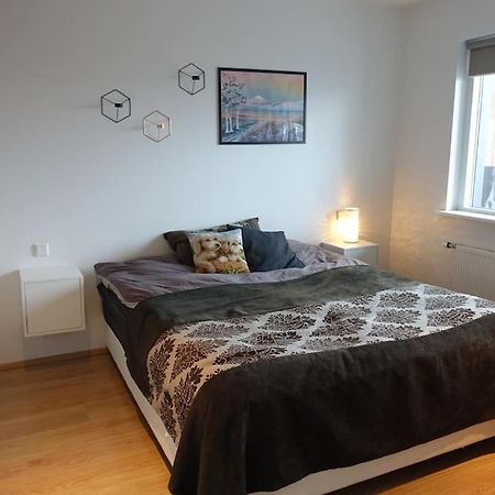 Beautiful Flat In Downtown Reykjavik With A Veiw Apartman Kültér fotó